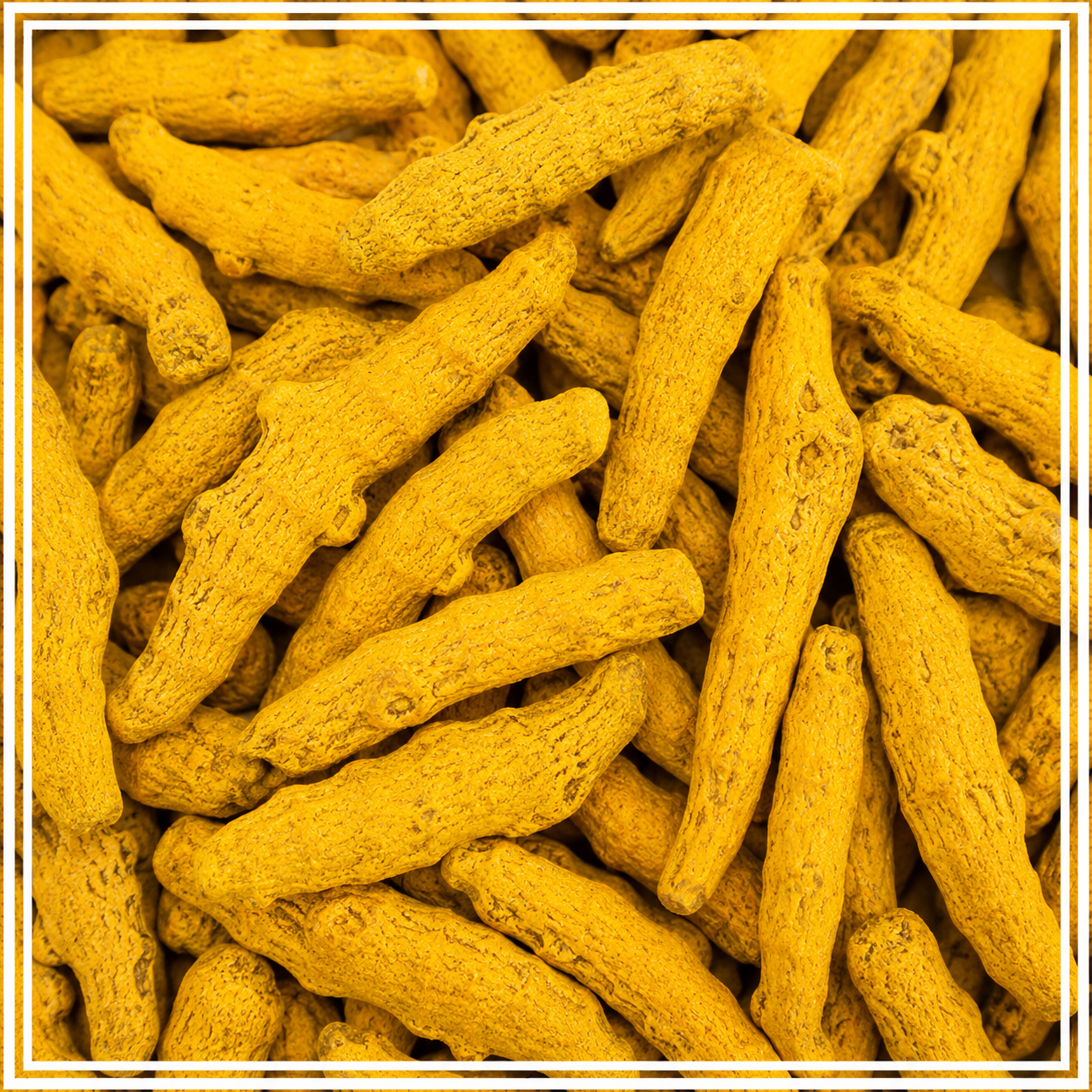 Haldi